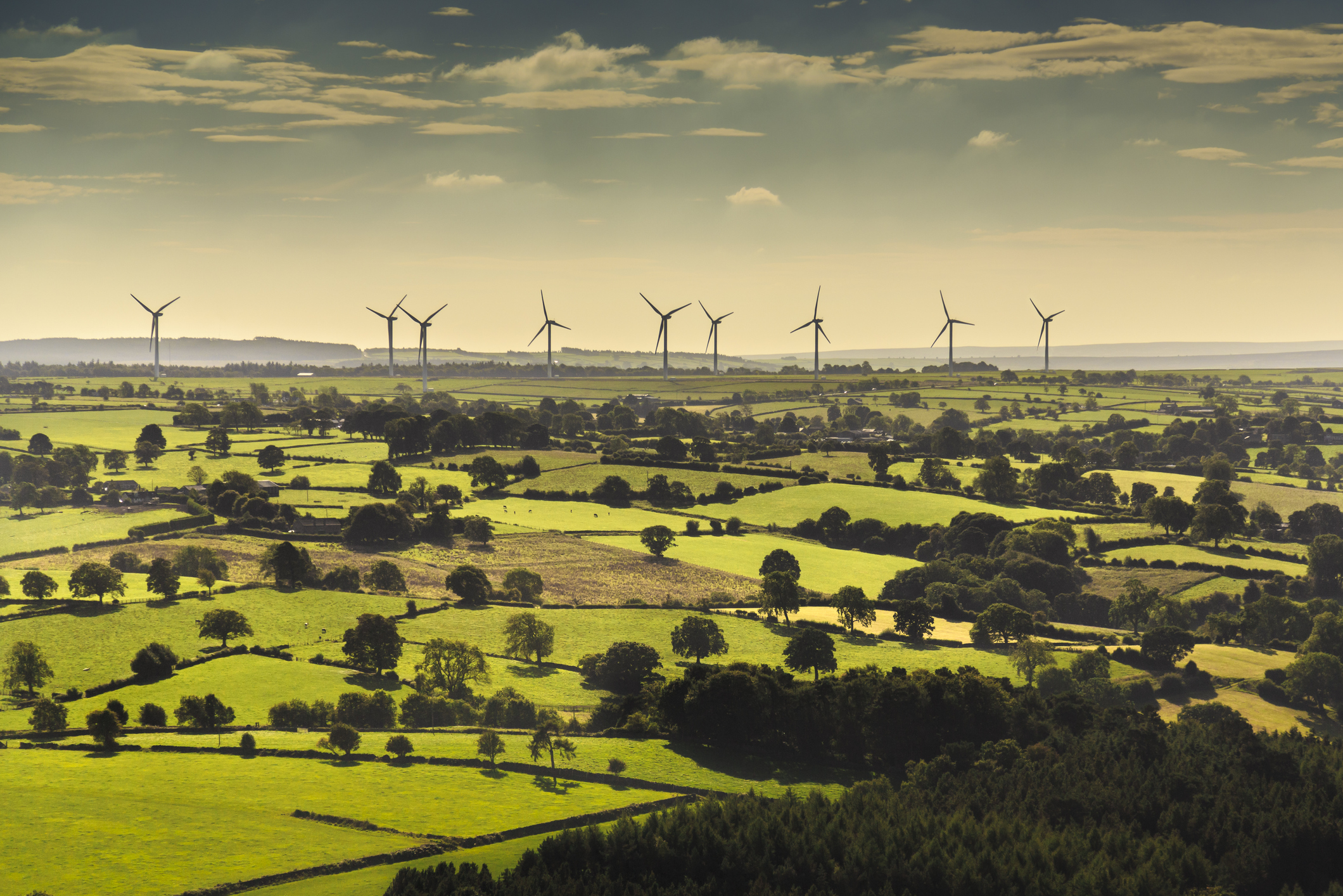 Wind Farm In The Countryside
