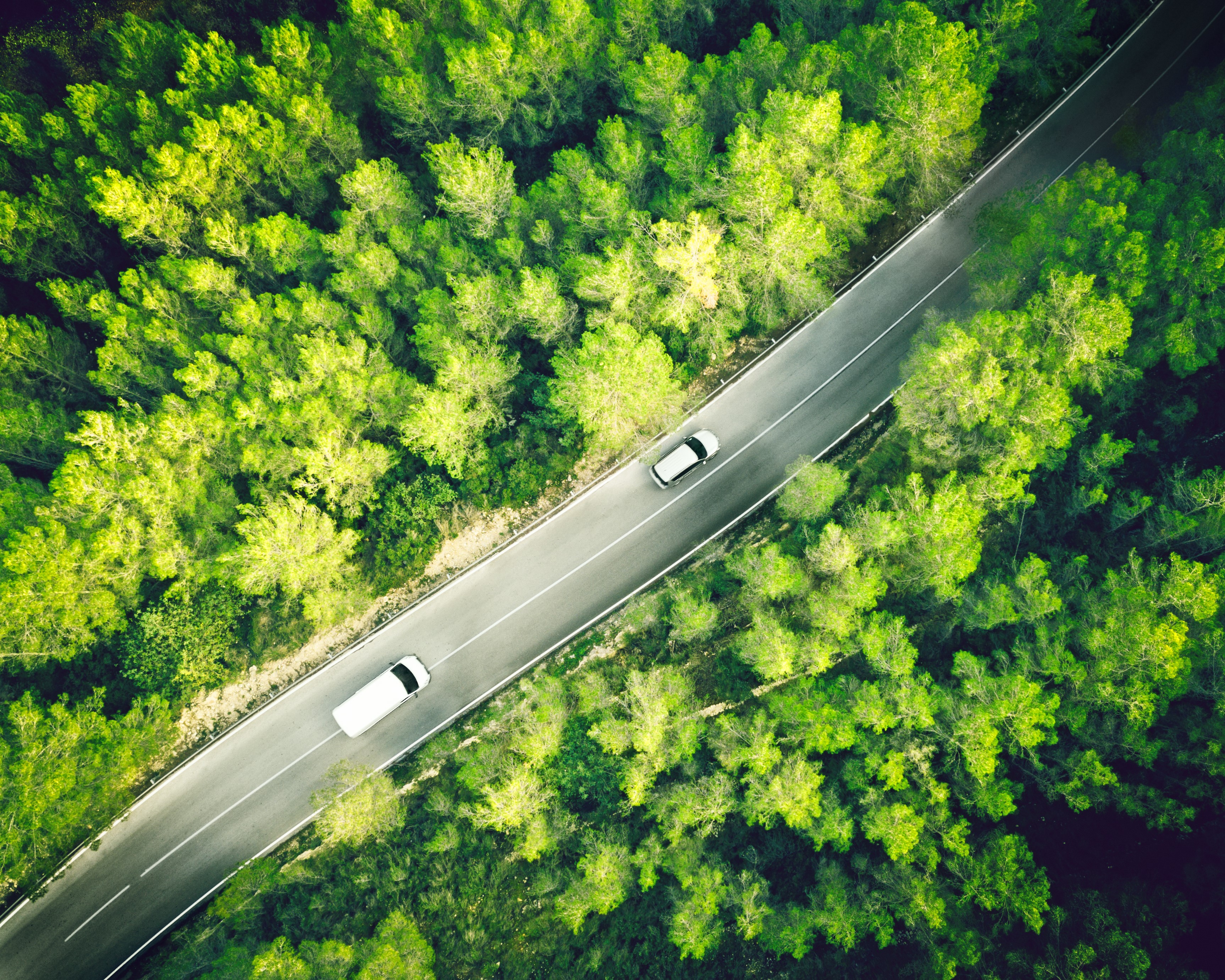 Car driving on road with greenery 